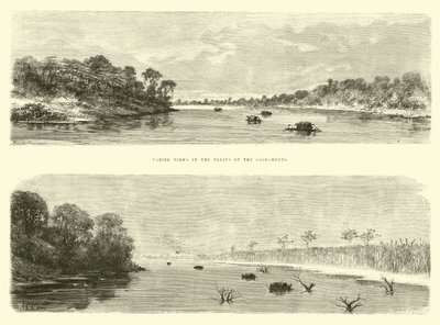 Varied Views in the Plains of the Sacramento by Edouard Riou